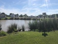  Willerby Bermuda 2006 13