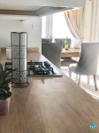 Willerby Hazlewood 13