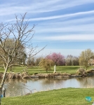 Willerby Pinehurst at The Elms, Addlethorpe 50