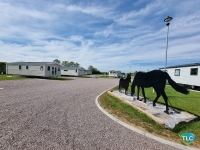Willerby Peppy 11