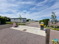 Willerby Peppy 12