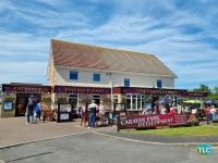 Willerby Peppy 9