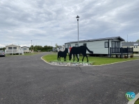 Swift Bordeaux at the Paddocks Holiday Park 41