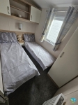 Europa Willow 17