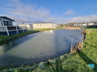 Swift Edmonton Lodge Scandi 16