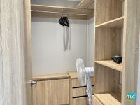 Sweet Bay Laurel 12