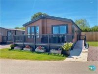 Sweet Bay Laurel 1