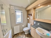 Sweet Bay Laurel 7
