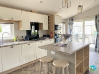 Sweet Bay Laurel 5