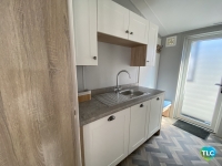 Sweet Bay Laurel 7