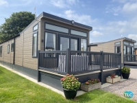 Cherry Laurel 19