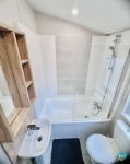 Cherry Laurel 18