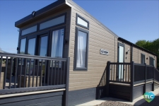 Cherry Laurel 18