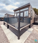 Cherry Laurel 19