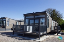 Cherry Laurel 19