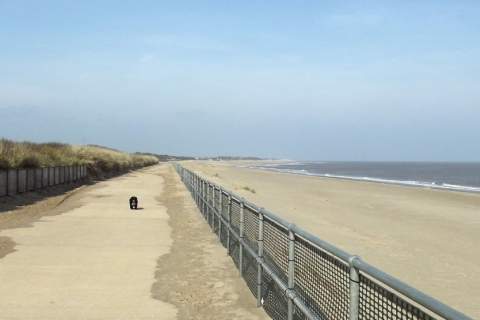 Happy Days Beachfields 3