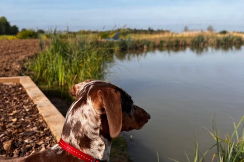 Parkside caravan park and fishing lakes 1