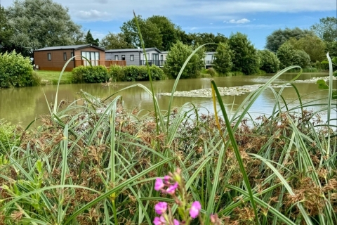 Faulkers Lakes 9
